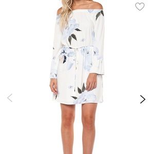 Dex Floral Off-The-Shoulder A-Line Dress